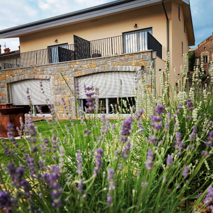 Apartmaji Aucin - Brda Kojsko Exterior photo